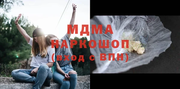 индика Алексин