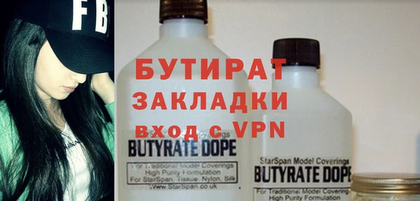 индика Алексин