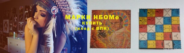 индика Алексин