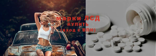 индика Алексин