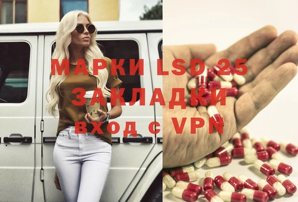 индика Алексин