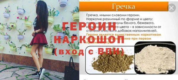 индика Алексин