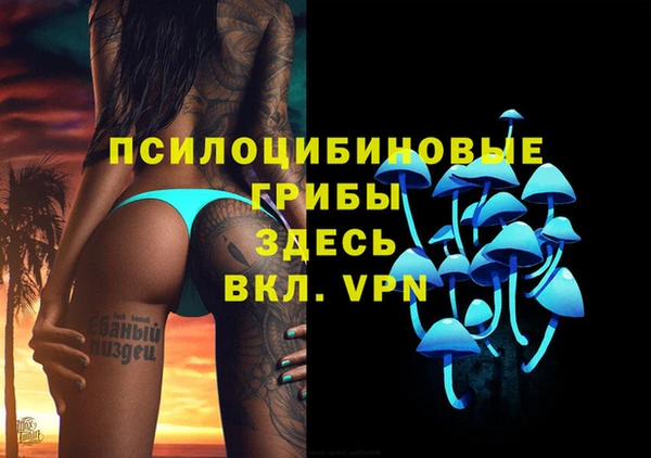индика Алексин