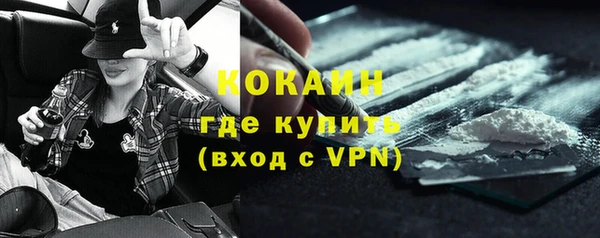 индика Алексин