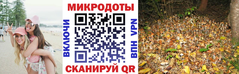 Псилоцибиновые грибы мухоморы  Старый Оскол 