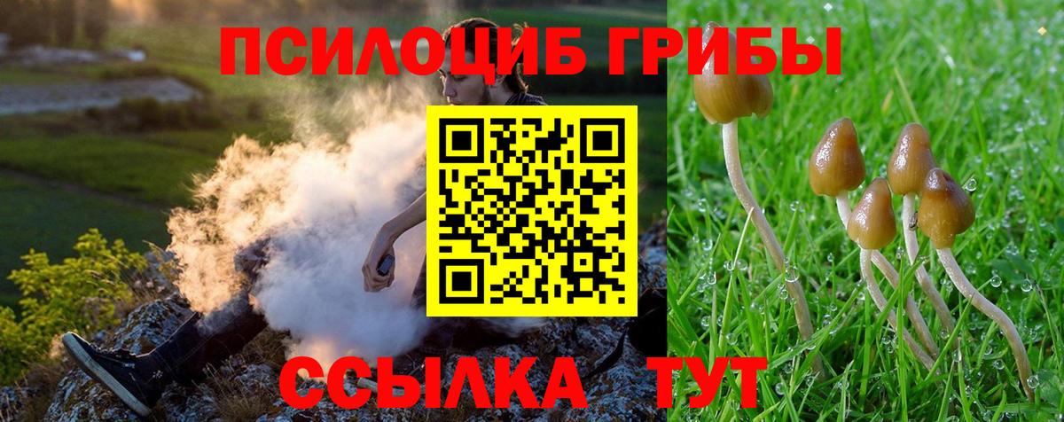 Псилоцибиновые грибы ЛСД Старый Оскол