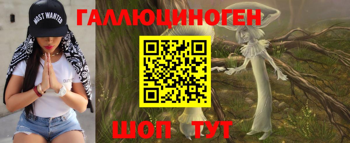Псилоцибиновые грибы Psilocybine cubensis  Вход с VPN  Старый Оскол 